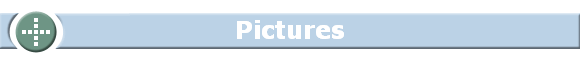 Pictures